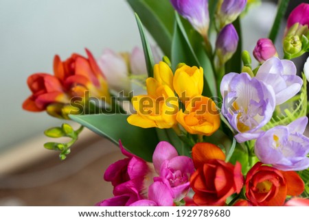 spring flowers in a vase