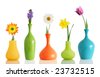 spring flowers vase isolated