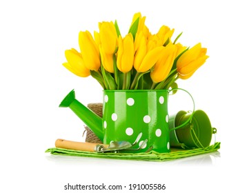 Spring flowers in watering can with garden tools. Isolated on white background