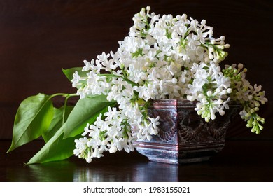 Spring Flowers, White Lilac In The Vase, Syringa Vulgaris	
