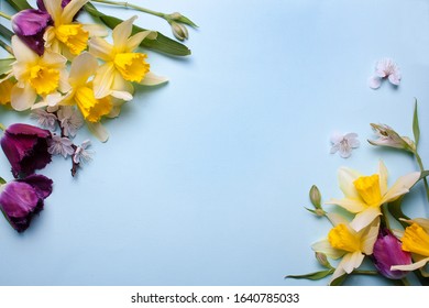 Spring Flowers Yellow Daffodils And Tulips On A Blue Background Top View