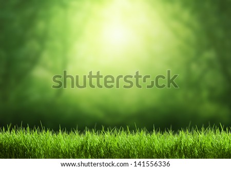 Similar – Image, Stock Photo green tree at sunset and warm light