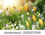 Spring Forest Glade With tulip and White Spring Flowers And Yellow Butterflies on a Sunny Day. Happy Easter Morning. Spring Meadow Flower. buterfly on Yellow tulips.