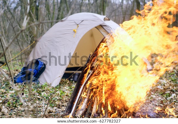 In the spring forest\
a tent with a fire