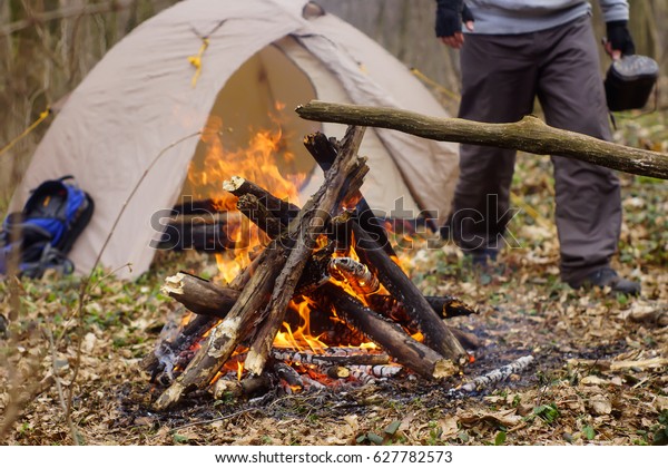 In the spring forest
a tent with a fire