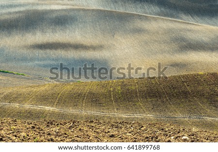 Spring Forms Half