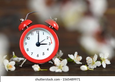 Spring Forward. Daylight Saving Time 