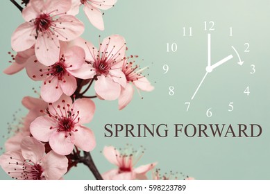 Spring Forward / Daylight Saving Time Begins