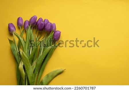 Spring fresh tulips on yellow background for mother's day, valentine greetingcard