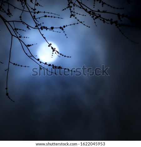 Similar – Frostige Dezembernacht. Der Mond scheint auf Obstbäume die im hohen Schnee stehen und im Eisnebel verschwinden.