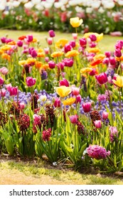 spring garden