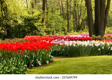 spring garden