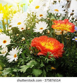 Spring garden
