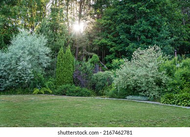 spring garden with different plants - Shutterstock ID 2167462781