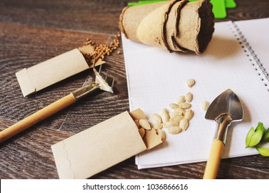 Spring Garden Preparation For Sowing Vegetable Seeds And Planning. Pumpkin, Coriander With Labels, Peat Pots And Tools On Note Book. Seasonal Garden Work.