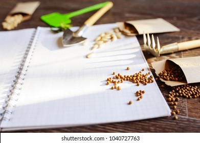 Spring Garden Preparation For Sowing Vegetable Seeds And Planning. Pumpkin, Coriander With Labels, Peat Pots And Tools On Note Book. Seasonal Garden Work.