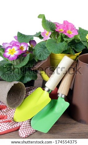 Spring garden preparation with tools, vase, and flower