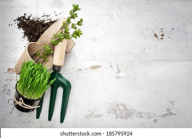 Spring Gardening Tools On White Woods 