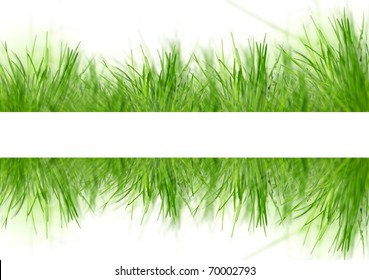 Spring grass