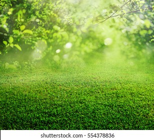 spring grass background - Shutterstock ID 554378836