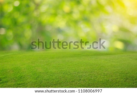 ??Nature spring grass background texture and Summer season backtground.