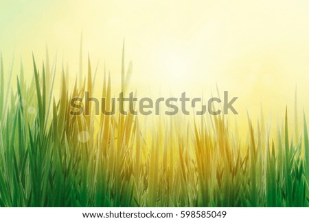 Similar – Goldener Frühling Umwelt