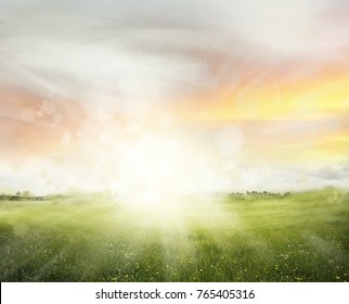 Spring Grass And Bright Sunny Sky
