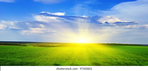 Spring grass grows on the field against the backdrop of the sunset. Spring landscape Panorama.