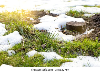 Spring, Grass, Melting Snow