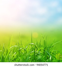 Spring Grass In Sun Light And Defocused Sky On Background