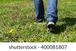 Spring grass walking