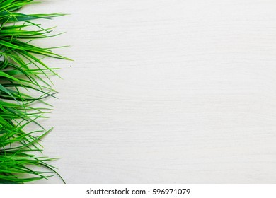 Spring green grass lying on white table 