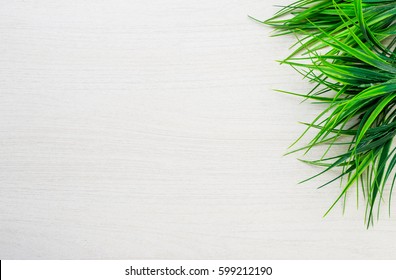 Spring green grass lying on white table 