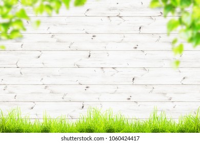 Spring Green Grass Over Wood Fence Background