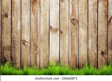 Spring Green Grass Over Wood Fence Background