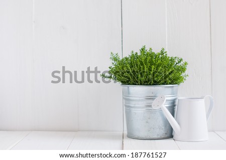 Similar – wooden board on grass