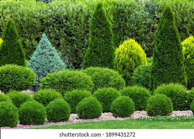 spring green plants green grass with cut bushes shape design sprinkled with natural stone mulching in a park with plants on a summer day.