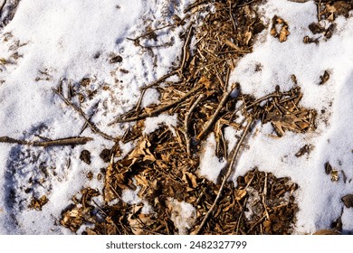 Spring ground covered with thawing snow. Melting ice on dry grass close up. - Powered by Shutterstock