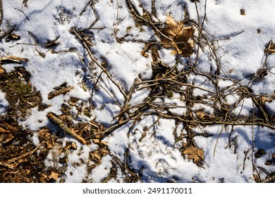 Spring ground covered with thawing snow. Melting ice on dry grass close up. - Powered by Shutterstock