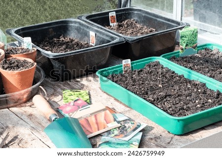 Spring growing vegetable seeds planted in trays and pots of compost with seed packets and trowel