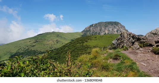 Spring Hallasan Mountain Jeju