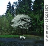 The spring has come