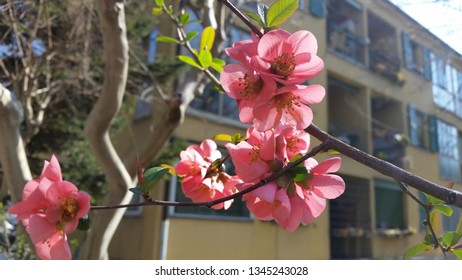 Spring has come!