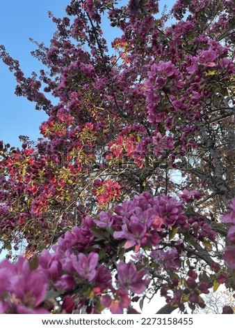 Spring has sprung in Beantown