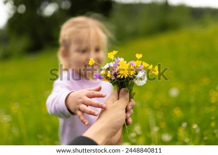 Spring is here, child parent picking wild flower in a meadow 