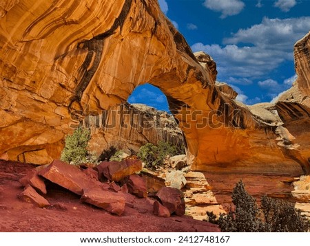 Spring at the Hickman Arch in Capitol Reef National Park in Utah,