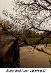 Spring In Hidden Trails Of Humber River