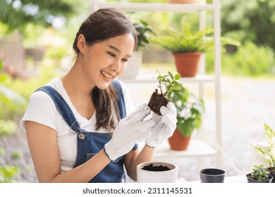 Spring hobby, pretty asian young woman, girl transplanting in ceramic flower pot, houseplant with dirt or soil on table at home, gardening tree plant in garden farm, green tropical, beauty and nature - Powered by Shutterstock