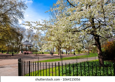 Spring In Hyde Park, London, United Kingdom