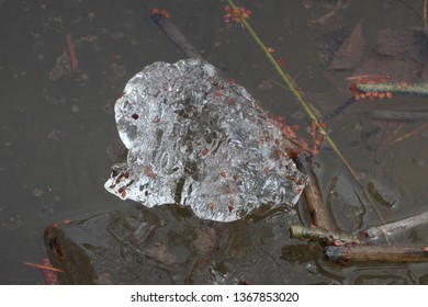 spring ice on the river